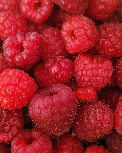 FSS Raspberry Seed Oil
