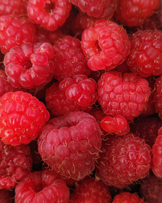 FSS Raspberry Seed Oil