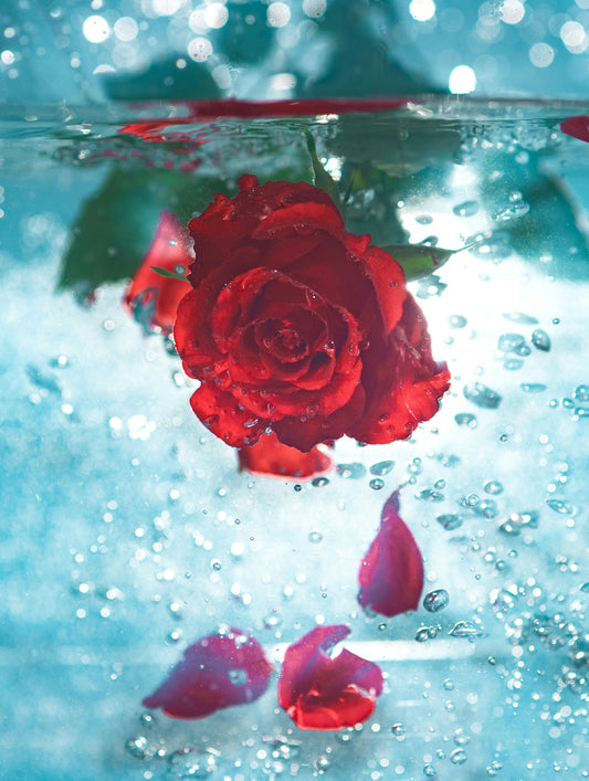 FSS Rose Hydrosol