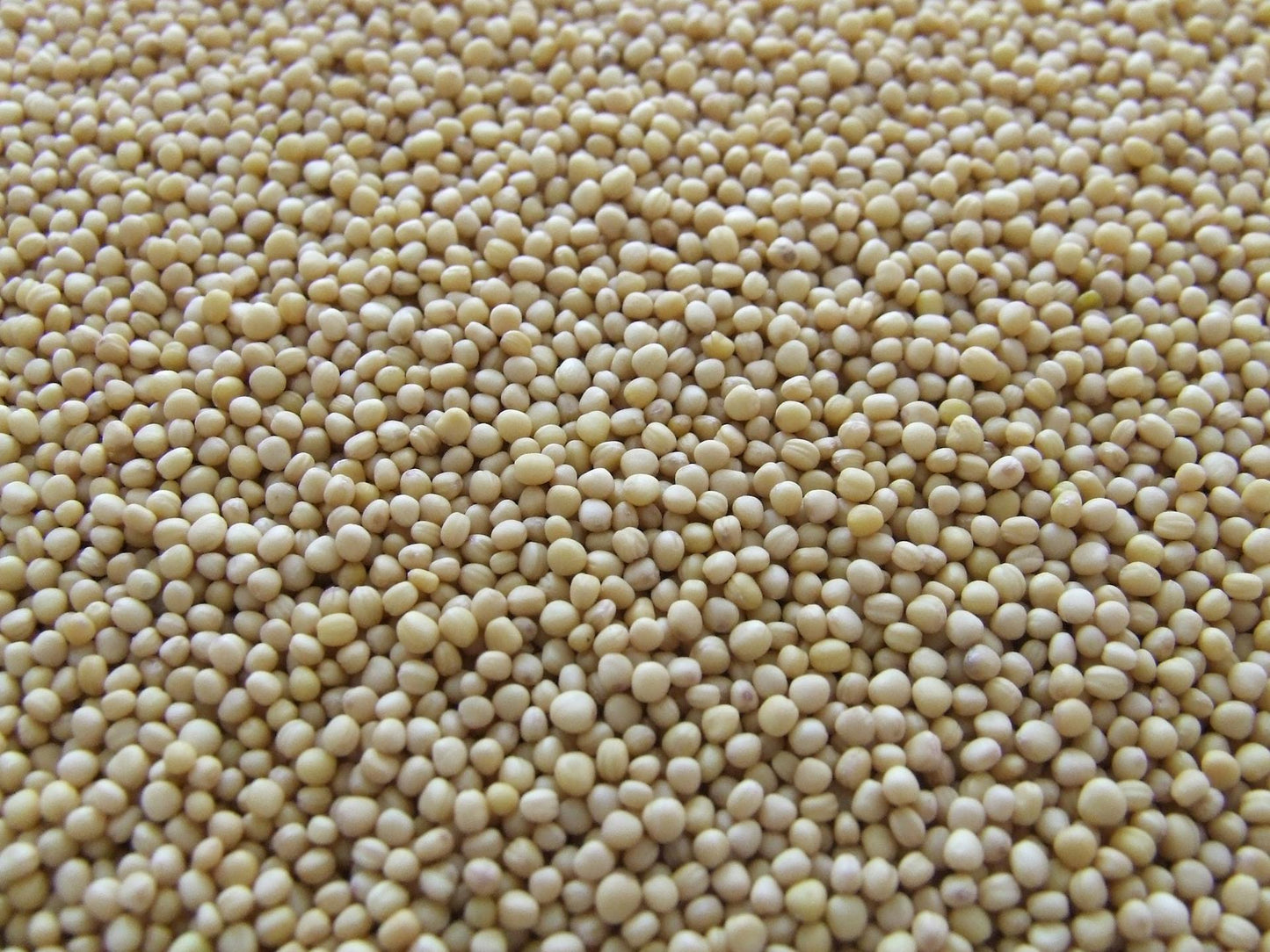 FSS VITAMIN E NATURAL