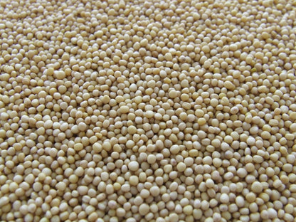 FSS VITAMIN E NATURAL