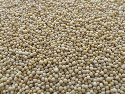 FSS VITAMIN E NATURAL