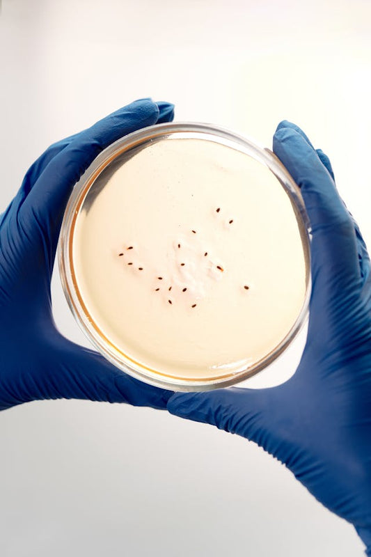 Microbial Exsit Testing Testing – Formulator Sample Shop