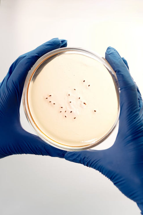 Microbial Test Kit, 10 Pack – Formulator Sample Shop
