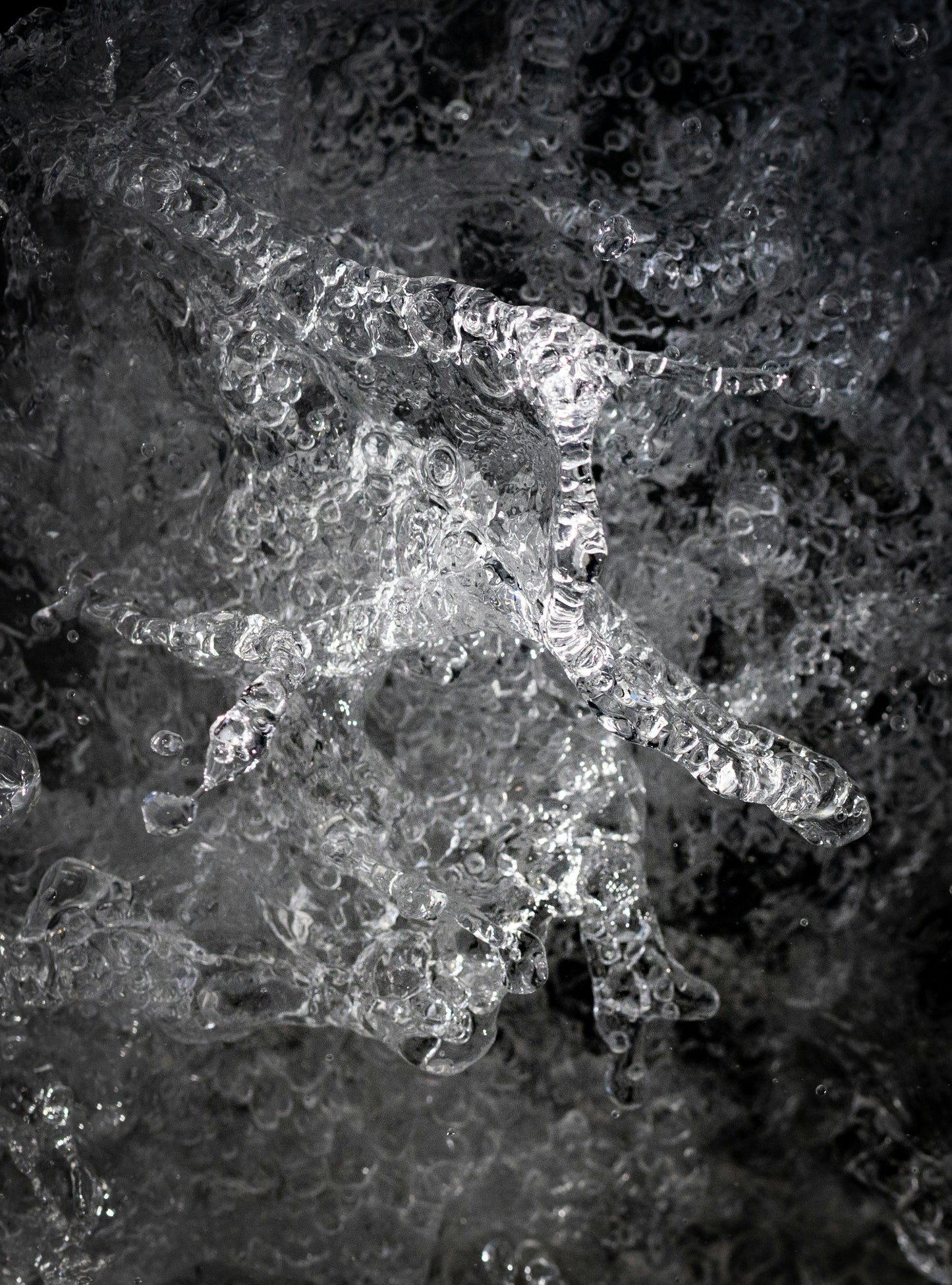 SYNERCIDE ASIAN FUSION