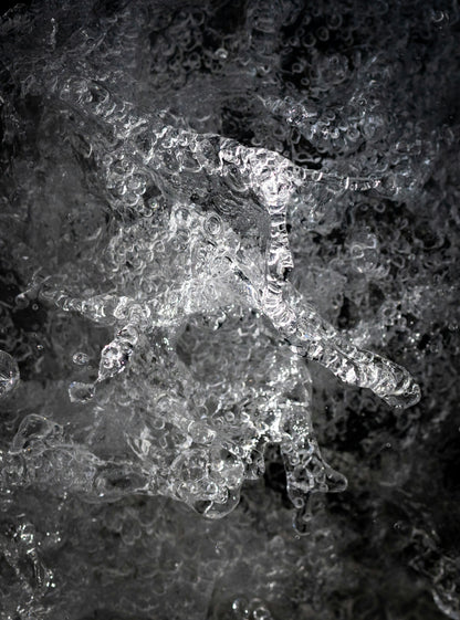 SYNERCIDE ASIAN FUSION