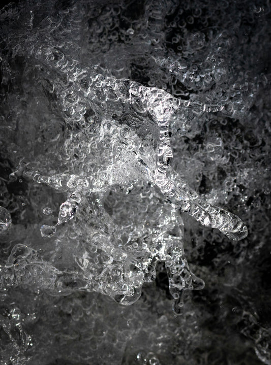 SYNERCIDE ASIAN FUSION