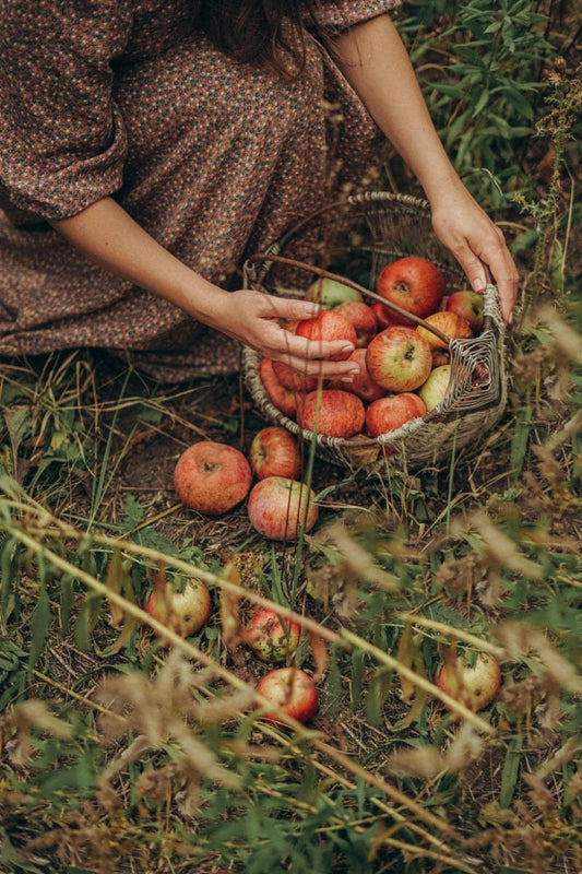 FSS Apple Fruit Extract G
