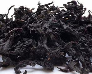 FSS Black Algae Extract