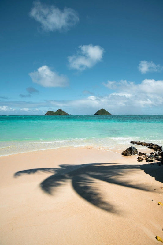 FSS CARIBBEAN ESCAPE FRAGRANCE