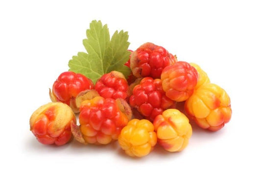 FSS Cloudberry Seed Oil