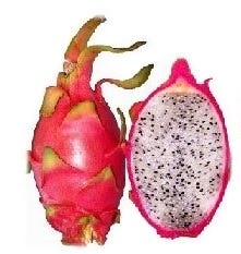 FSS Dragon Fruit Extract G