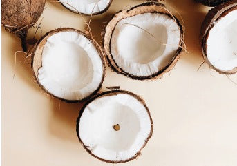 FORTICULTURE COCONUT