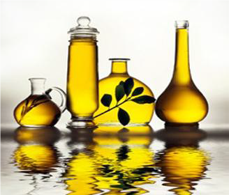 FSS BIOMIMETIC JOJOBA OIL 