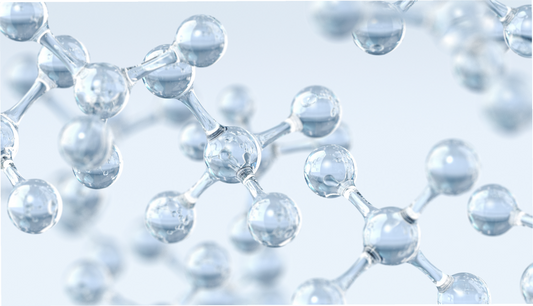 FSS CERAMIDE 2 