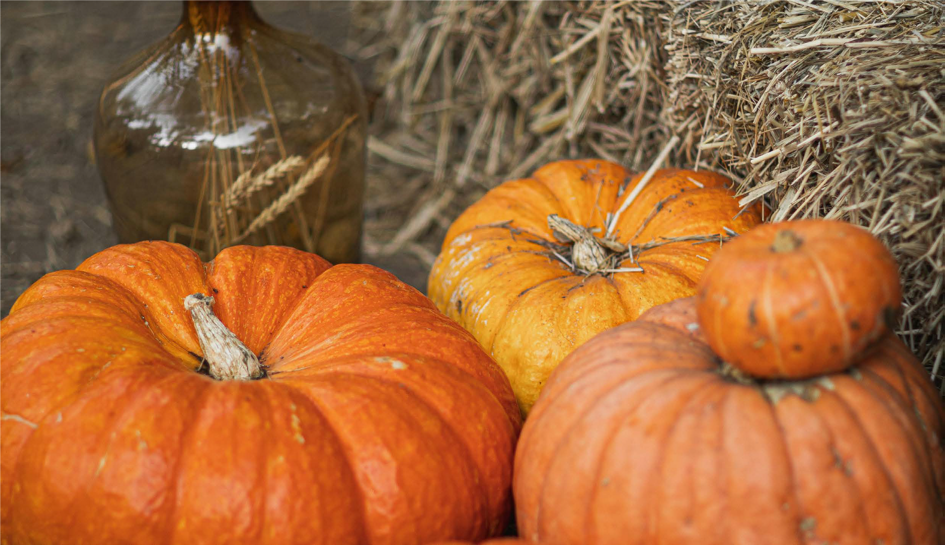 FSS PUMPKIN EXTRACT OS 