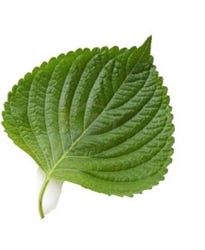 FSS Phyto-Biotics Perilla®