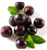 FSS Acai Berry Seed Oil