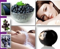 FSS Acai Sterols