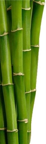 FSS Bamboo Water