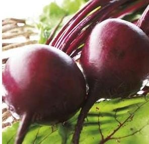 FSS Beet Root Extract G
