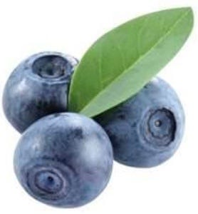 FSS Bilberry Extract G