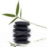 FSS BIO-WATER BAMBOO