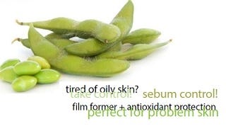 FSS BIOPOLYMER SOY PF