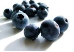 FSS Blueberry Seed Oil
