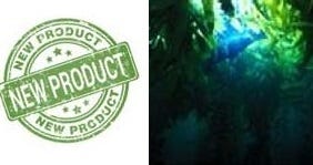 Sea Kelp BioFerment PF - Our Trade Name: FSS Bull Kelp BioFerment PD
