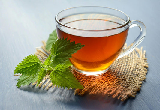 FSS Camellia Sinensis Leaf Extract G PF