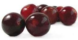 FSS Camu Camu Extract G