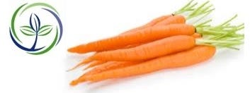 FSS Carrot Resin