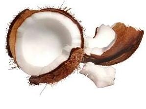 FSS Coconut Milk BG PF