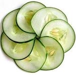 FSS Cucumber Extract PF