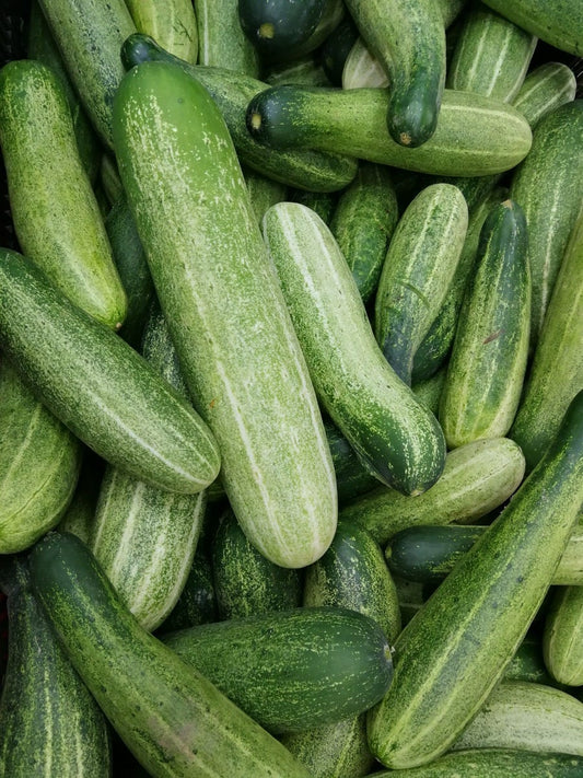 FSS Cucumber Seed Oil