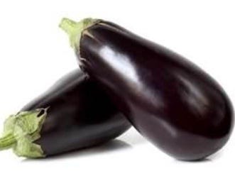 FSS Eggplant Extract PF