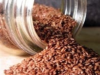 FSS Flax Seed Extract G