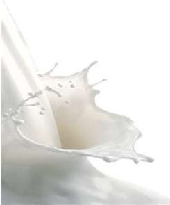 FSS Goat Milk Hydrolysate
