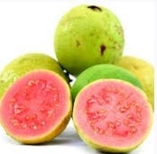FSS Guava Extract OS