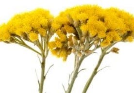 FSS Helichrysum Hydrosol PF