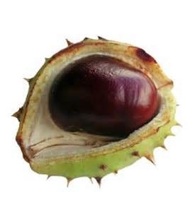 FSS Horse Chestnut Extract