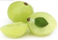 FSS Indian Gooseberry Extract PF