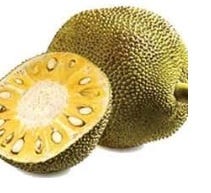 FSS Jackfruit Extract PF