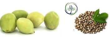 FSS Kakadu Plum Extract HSO