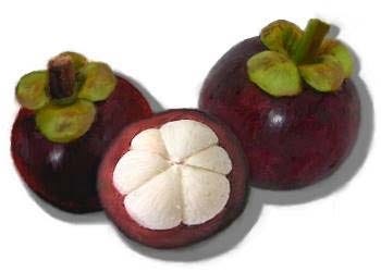 FSS Mangosteen Extract G
