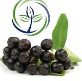 FSS Maqui Berry Extract