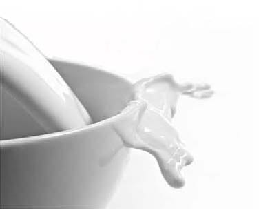 FSS Milk Hydrolysate PF