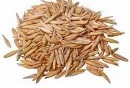 FSS Oat Amino Acids PF