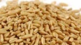 FSS Oat Extract Beta PF